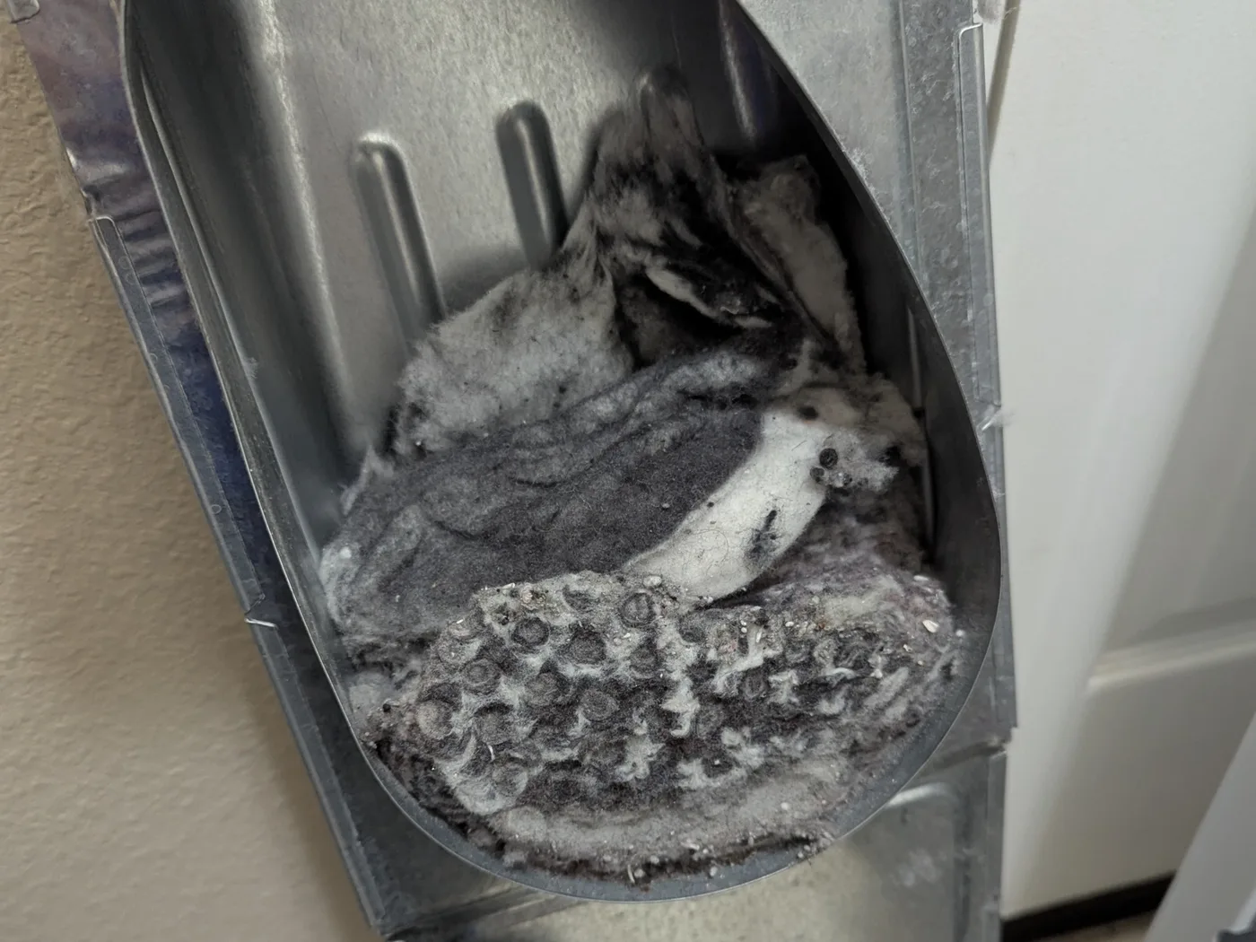 Lint Buildup Inside Dryer Cabinet